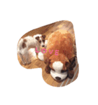 わんこちゃんだお（個別スタンプ：5）