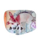 わんこちゃんだお（個別スタンプ：7）