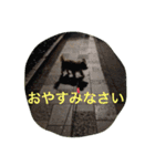 ケアーンテリアキッドくん（個別スタンプ：14）