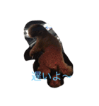 cocoa's life（個別スタンプ：2）