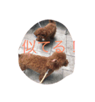 cocoa's life（個別スタンプ：7）
