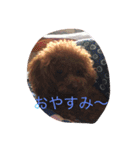 cocoa's life（個別スタンプ：11）