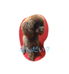 cocoa's life（個別スタンプ：13）