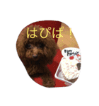 cocoa's life（個別スタンプ：15）