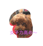cocoa's life（個別スタンプ：21）