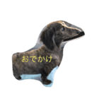 カイザー（個別スタンプ：3）