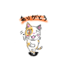 Nyan's day-to-day stamp（個別スタンプ：6）