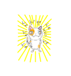 Nyan's day-to-day stamp（個別スタンプ：12）