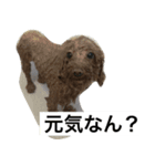 【お試し】園さん家のペットたち（個別スタンプ：8）