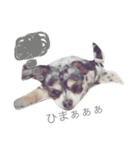 love-dog（個別スタンプ：2）
