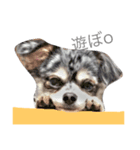love-dog（個別スタンプ：3）