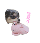 love-dog（個別スタンプ：4）
