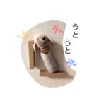 ベイビートイ（ひつじ）（個別スタンプ：2）