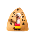 ベイビートイ（ひつじ）（個別スタンプ：5）