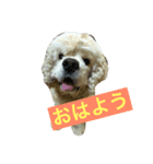 陸③（個別スタンプ：2）