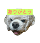 陸③（個別スタンプ：5）
