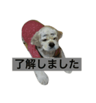 陸③（個別スタンプ：6）