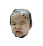 はやて君（個別スタンプ：4）