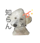 ポップな毎日（個別スタンプ：13）