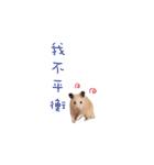 kiwi hamster（個別スタンプ：11）