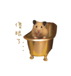 kiwi hamster（個別スタンプ：16）