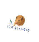 kiwi hamster（個別スタンプ：18）