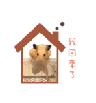 kiwi hamster（個別スタンプ：34）