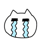 使える表情のねこ（個別スタンプ：13）