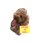 Mabo the poodle（個別スタンプ：6）