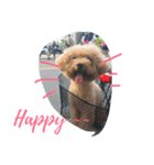 cute smelly dog（個別スタンプ：3）