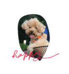 cute smelly dog（個別スタンプ：5）