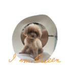 cute smelly dog（個別スタンプ：7）
