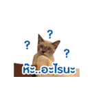 Mung and pet（個別スタンプ：27）