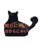 サビ猫なでちゃん（個別スタンプ：3）