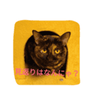 サビ猫なでちゃん（個別スタンプ：7）