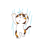 愉快なネコたち ver.2（個別スタンプ：12）