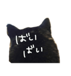ぎんたん(7)（個別スタンプ：7）