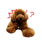ひとことトイプー（個別スタンプ：6）