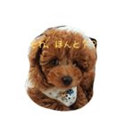 ひとことトイプー（個別スタンプ：17）