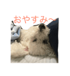 にこーーるのスタンプ（個別スタンプ：7）