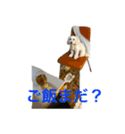 にこーーるのスタンプ（個別スタンプ：8）