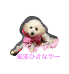 にこーーるのスタンプ（個別スタンプ：14）