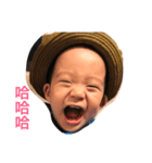 2pig（個別スタンプ：1）