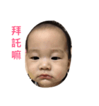 2pig（個別スタンプ：6）