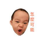 2pig（個別スタンプ：7）