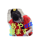 Aya chan sticker（個別スタンプ：6）