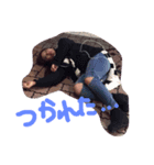 くうさんときよか（個別スタンプ：3）