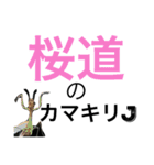桜道オリジナルスタンプ（個別スタンプ：12）