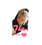 Taishi desu desu（個別スタンプ：1）