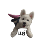 khaopod_ThePomapoo（個別スタンプ：2）